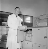 Gävle Mejeri. 9 augusti 1953.
Reportage Gefle Dagblad.