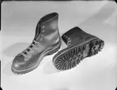 SKOGS- OCH JAKTKÄNGOR