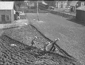 Plöjning av åkerplätt i bostadsområde. Fotografi från området Österstand i Vetlanda.