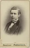 Revisor Pettersson.