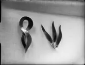 FÖREMÅL FRÅN KORSMOS UTST. SKANSEN