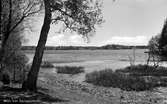 Agunnarydssjön, 1946.