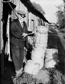 Repslagare Gustaf Logren i arbete, Östhammar, Uppland