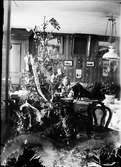 Tyra Edhlund sitter i soffan och tittar fram bakom julgranen, Guldskäret, Östhammar, Uppland