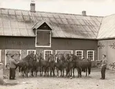 Fässberg 1:34, Fässberg Västergården 1, i Fässbergs by, Mölndal, år 1940. Till vänster Ernst Andersson och till höger dennes son Evert Andersson tillsammans med en samling hästar framför det nyligen byggda stallet. Ernst tog över gården 1935 och Evert tog i sin tur över 1966.

När Åby travbana var klar 1936 började gården med travhästar och Fässbergs travstuteri byggdes upp. När stuteriet var som störst hade man 24 hästar på gården och 8 hästar i träning på Åby. Hästuppfödningen upphörde 1974. Förutom hästar hade man grönsaksodling med specialodling av ärtor för en konservfabrik samt saltgurkor.