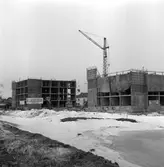 Byggnummer.
28 februari 1959.