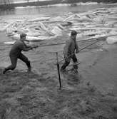 Svartånisen sprängs.
3 mars 1959.