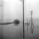 Översvämning i Gräve by.
4 mars 1959.
