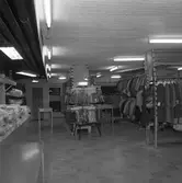 Backfisch, annonssida. 
20 april 1959.