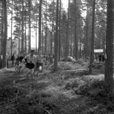 DM i terräng. 
2 maj 1959.