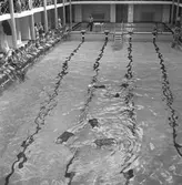 Simpromotion. 
11 maj 1959.