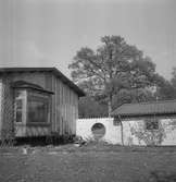 Bungalow i Odensbacken. 
19 maj 1959.