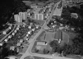Flygfoto över Gräshagen i Jönköping.
785/1964