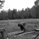 Byggnummer. 
11 juni 1959.