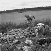 Skallgång efter fru Lind. 
17 juni 1959.