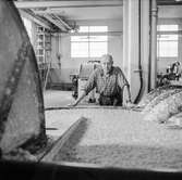 Man i arbete vid Holländeri PM 3 och 11 på pappersbruket Papyrus i Mölndal, 6/5 1955.