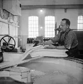 Ragnar Fransson i arbete vid holländeri på pappersbruket Papyrus i Mölndal, 6/5 1955.
