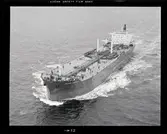 M/T Viking Harrier D.W.T. 81.279
Rederi Norse Group (J P Röed), Singapore
Kölsträckning 80-11-17 Nr. 316
Leverans 81-07-02
Tankfartyg