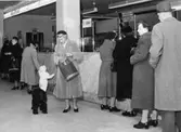 Postkontoret Sundbyberg 1, Sturegatan 35, 1954. Allmänhetens avdelning.