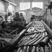 Män i arbete vid sliperiet på pappersbruket Papyrus i Mölndal, 6/5 1955.