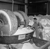 Man i arbete vid kollergång vid PM7 på pappersbruket Papyrus i Mölndal, 6/5 1955.