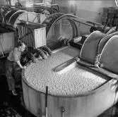 Man i arbete vid Holländeri PM 3 och 11 på pappersbruket Papyrus i Mölndal, 6/5 1955.