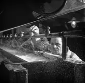 Henry Klang i arbete vid PM3 på pappersbruket Papyrus i Mölndal 6/5 1955. Utloppslåda för översiebern.