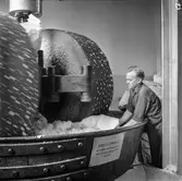 Man i arbete vid kollergång på pappersbruket Papyrus i Mölndal, 6/5 1955.