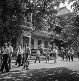 Reportage från pappersbruket Papyrus pressvisning i Mölndal, 29/8 1955. Disponentbostaden Villa Papyrus.