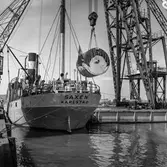 Transport av pappersbruket Papyrus PM2 yankeecylinder. Cylindern hissas upp med lyftkran i Göteborgs hamn, 2/6 1956.