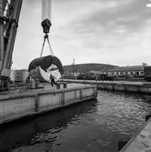 Transport av pappersbruket Papyrus PM2 yankeecylinder. Cylindern fraktas med flytande lyftkran i Göteborgs hamn, 2/6 1956.