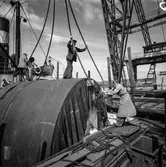 Transport av pappersbruket Papyrus PM2 yankeecylinder. Cylindern hissas upp med lyftkran i Göteborgs hamn, 2/6 1956.
