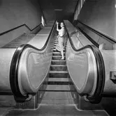 En kvinna står i pappersbruket Papyrus rulltrappa. Mölndal, 7/12 1956.