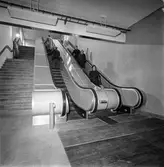 Kvinnor och män åker i pappersbruket Papyrus rulltrappa. Mölndal, 7/12 1956.