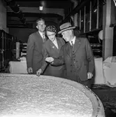 Fabriksvisning för Papyrus anställdas anhöriga. Pappersbruket Papyrus i Mölndal, 28/5 1957.