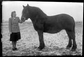 Berta Lans,  Flistad, med häst