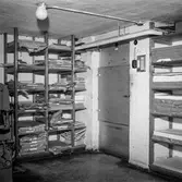 Pappersbruket Papyrus i Mölndal, 15/11 1958. Interiör.