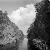 Ätrafors kraftstation, 25/7 1960. Inloppskanal. Utsikt från turbintagen.