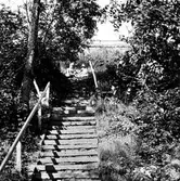 Trapporna bakom kurorten.