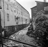 Mölndalsån, uppströms Forsebron. Mölndal, 1/6 1961.