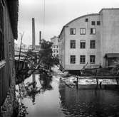 Mölndalsån, uppströms Forsebron. Mölndal, 1/6 1961.