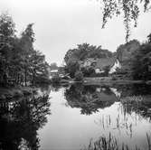 Mölndalsån, uppströms Forsebron. Mölndal, 1/6 1961.