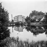 Mölndalsån, uppströms Forsebron. Mölndal, 1/6 1961.