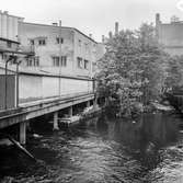 Mölndalsån, uppströms Forsebron. Mölndal, 1/6 1961.