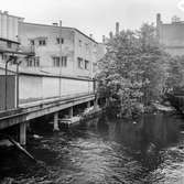 Mölndalsån, uppströms Forsebron. Mölndal, 1/6 1961.