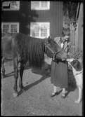 Kvinna med hund och häst