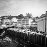 Mölndalsån nedströms Forsebron. Mölndal, 28/6 1963.