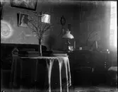 John Liedholms glasplåtssamling.