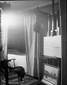 John Liedholms glasplåtssamling.