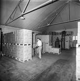 Män i arbete i lagerbyggnad nr 102 på pappersbruket Papyrus i Mölndal, 5/9 1968.